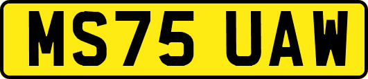 MS75UAW