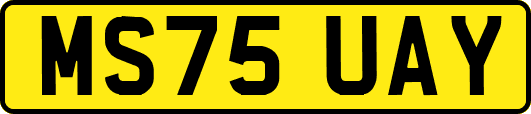 MS75UAY