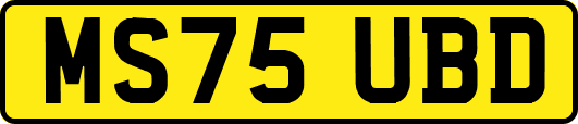 MS75UBD