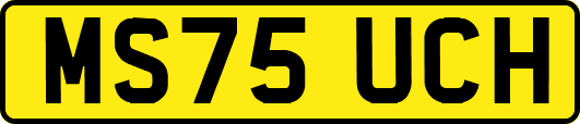 MS75UCH