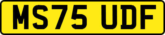 MS75UDF