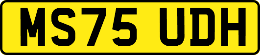 MS75UDH