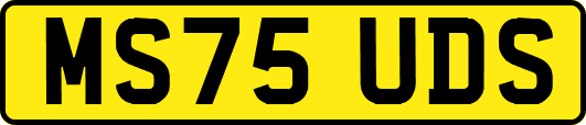 MS75UDS