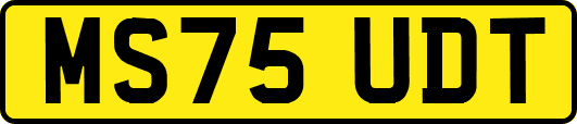 MS75UDT