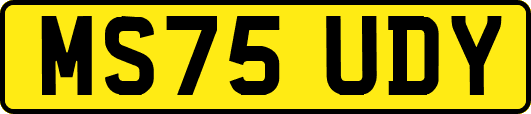 MS75UDY