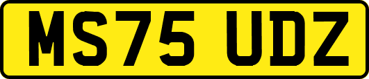 MS75UDZ