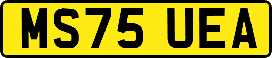MS75UEA