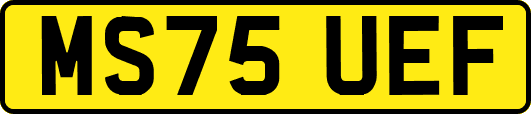 MS75UEF