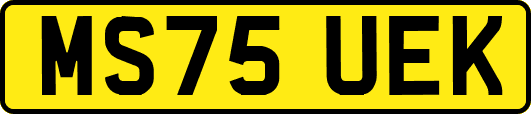 MS75UEK