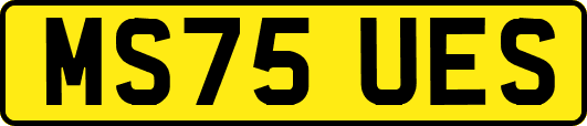 MS75UES
