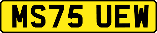 MS75UEW