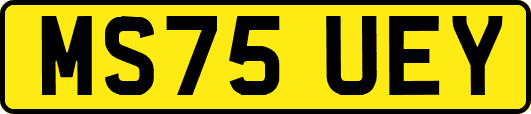 MS75UEY