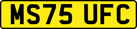MS75UFC