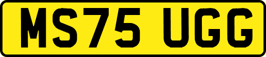 MS75UGG