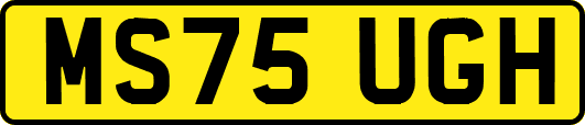 MS75UGH