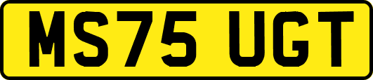 MS75UGT