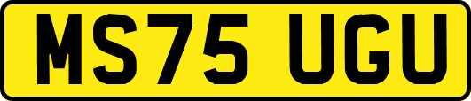 MS75UGU