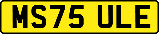 MS75ULE