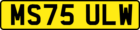 MS75ULW