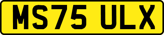 MS75ULX