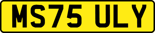 MS75ULY