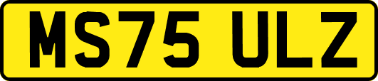 MS75ULZ
