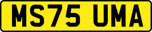 MS75UMA