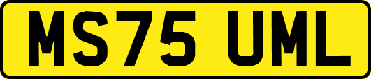 MS75UML