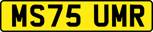 MS75UMR