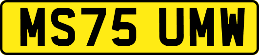 MS75UMW