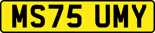 MS75UMY