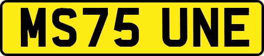 MS75UNE