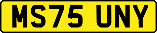MS75UNY