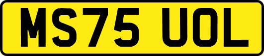 MS75UOL