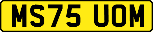 MS75UOM