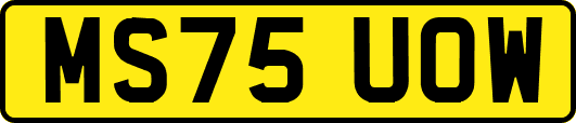 MS75UOW