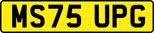 MS75UPG