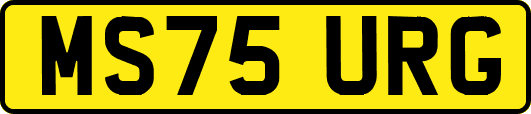 MS75URG