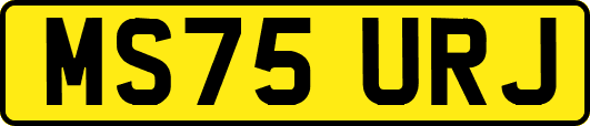 MS75URJ