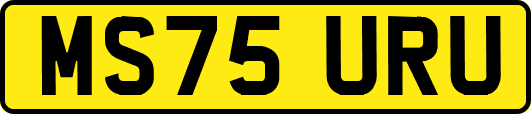 MS75URU