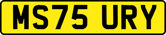 MS75URY