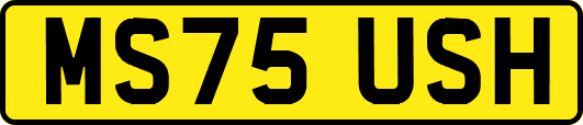 MS75USH