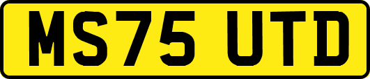 MS75UTD