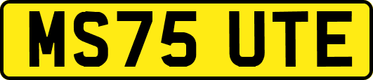 MS75UTE