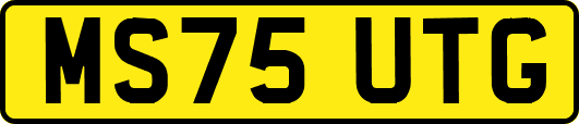 MS75UTG