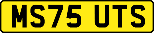 MS75UTS