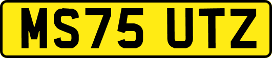 MS75UTZ