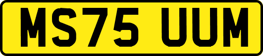 MS75UUM