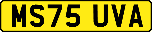 MS75UVA