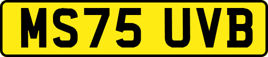 MS75UVB